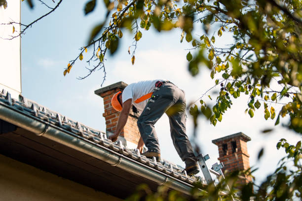 Professional Roofing Contractor in Summit Park, UT